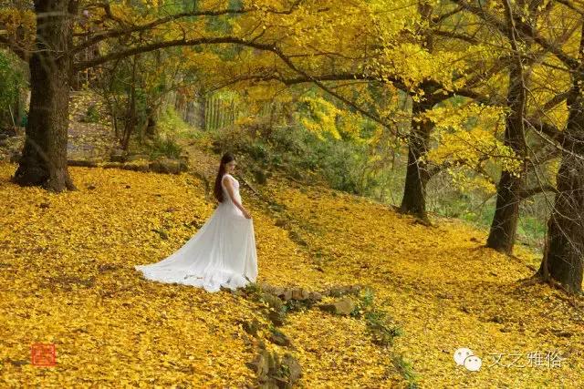 深秋夜寒，我不等你了