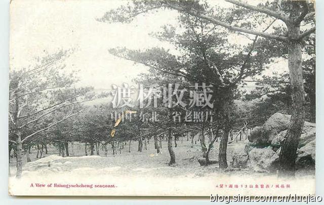 「熊岳旧影」熊岳城宝泉山和韩氏果园