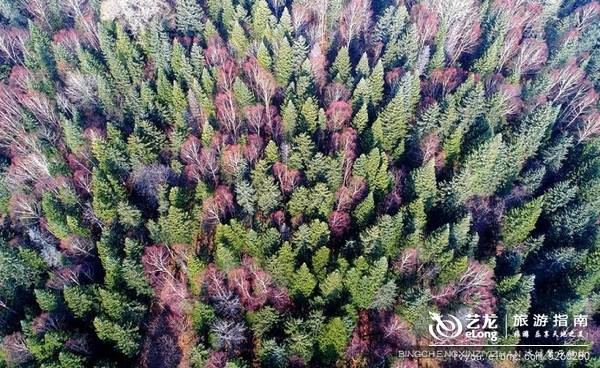 jrs电脑直播_极速体育无插件直播_jrs直播极速体育今日黑龙江，绿水青山画中游