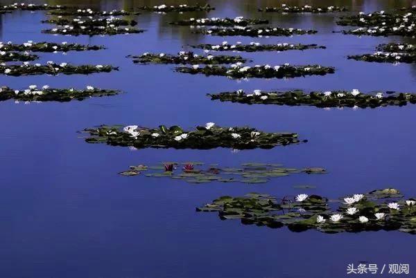 黑龙江这个没被游客占领的地方超惊艳，诗画美景!