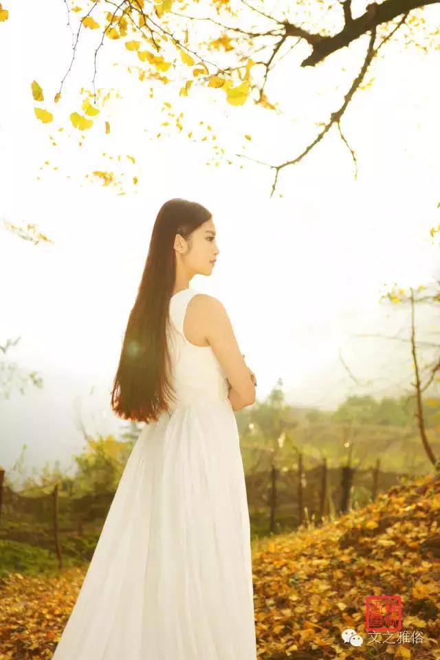 深秋夜寒，我不等你了