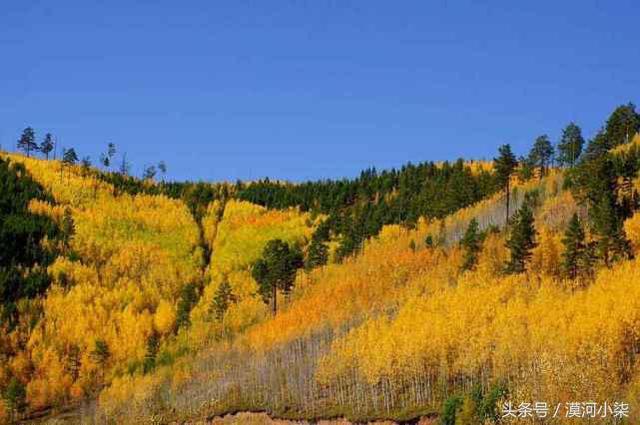 大兴安岭之秋，童话般的世界