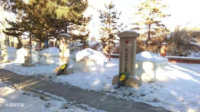 齐齐哈尔“特工兄弟”传奇