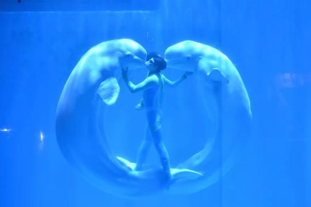 玩遍黑龙江，这些地方不可不去！