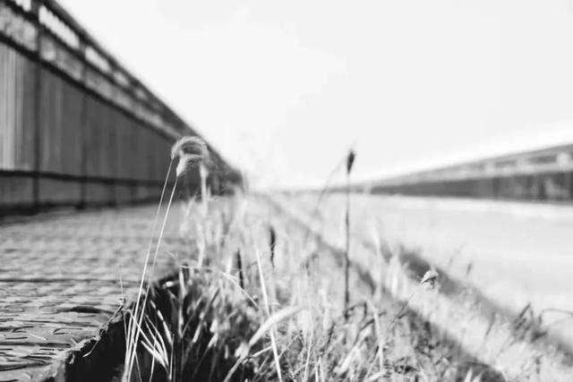 你去过东江桥吗?