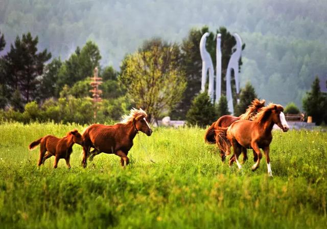 穿越历史的古驿路，阅尽黑龙江壮美的自然风光
