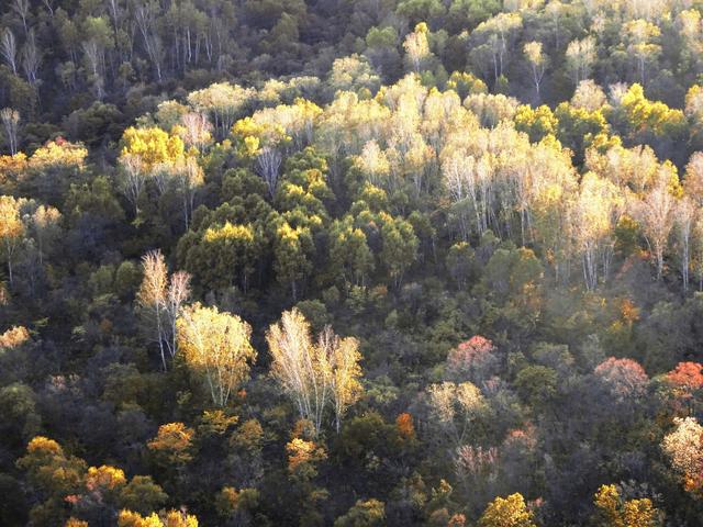旅游景点；黑龙江锦河秋天如诗如画