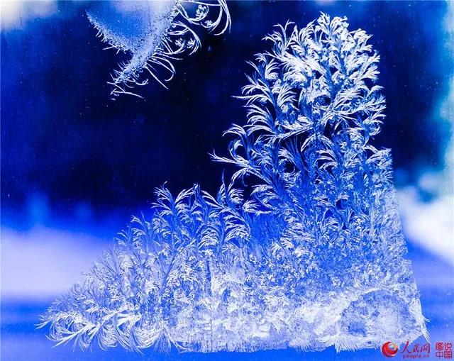 微信图片_20180103164612