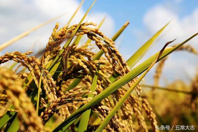 黑龙江省五常市历史传说故事