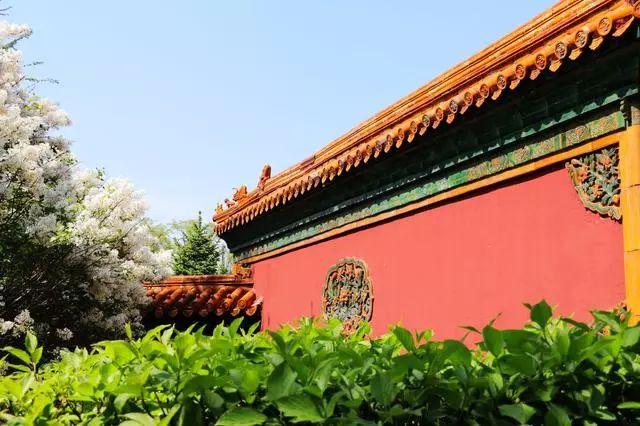 “如果古建筑会说话” 带你走进哈尔滨文庙