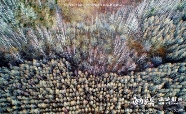 jrs电脑直播_极速体育无插件直播_jrs直播极速体育今日黑龙江，绿水青山画中游