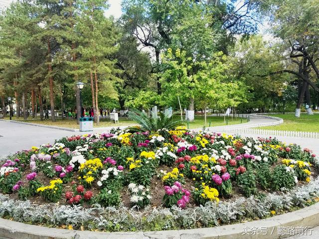 哈尔滨兆麟公园秋色