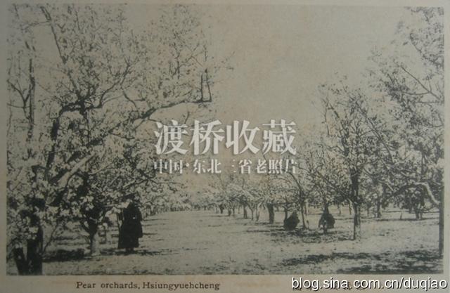 「熊岳旧影」熊岳城宝泉山和韩氏果园