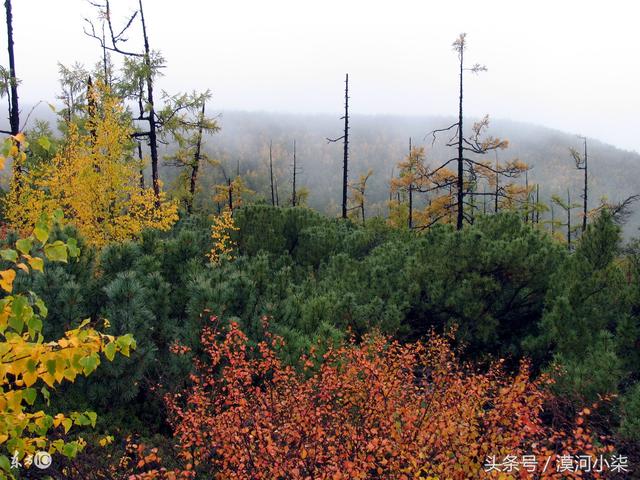 大兴安岭之秋，童话般的世界