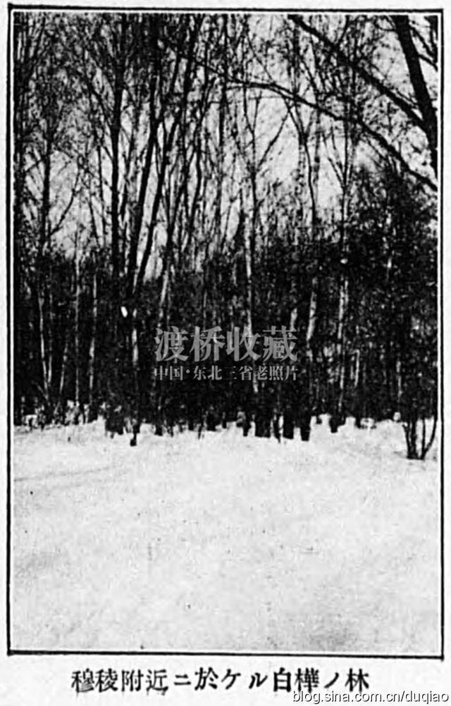 「穆棱旧影」穆棱县城