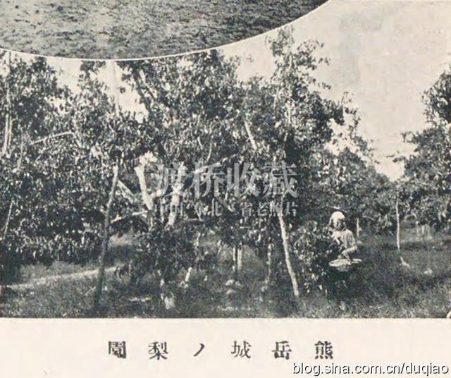 「熊岳旧影」熊岳城宝泉山和韩氏果园