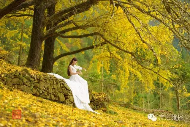 深秋夜寒，我不等你了