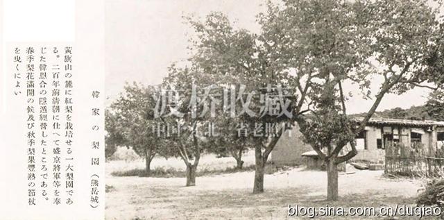 「熊岳旧影」熊岳城宝泉山和韩氏果园