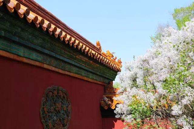 “如果古建筑会说话” 带你走进哈尔滨文庙