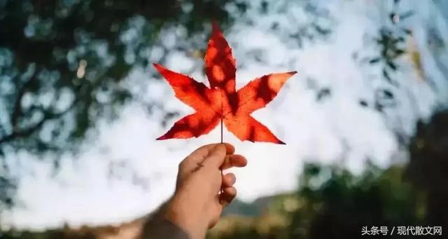 有一种牵挂，叫秋凉添衣！致我牵挂的人