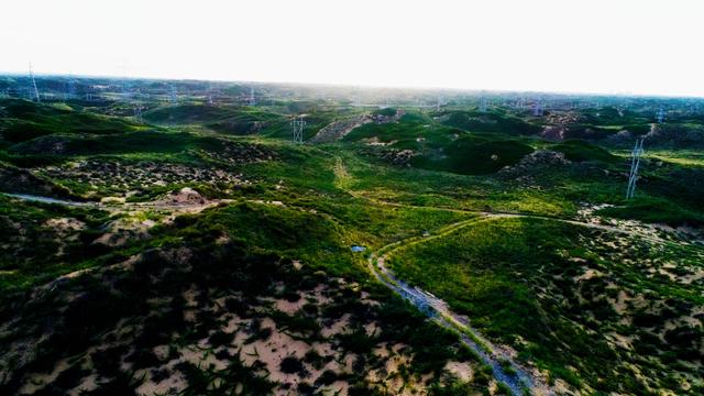 鸟瞰沙漠臭柏绿如海