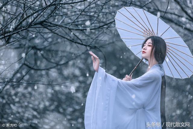 经典故事：好雪片片，不落别处