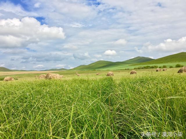 遇见自由行，七天畅游呼伦贝尔大草原+阿尔山森林公园
