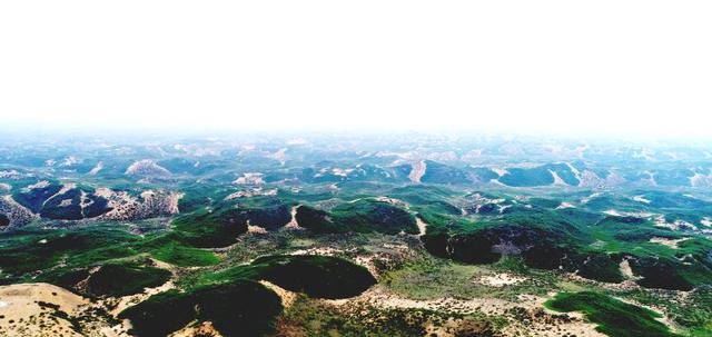 鸟瞰沙漠臭柏绿如海