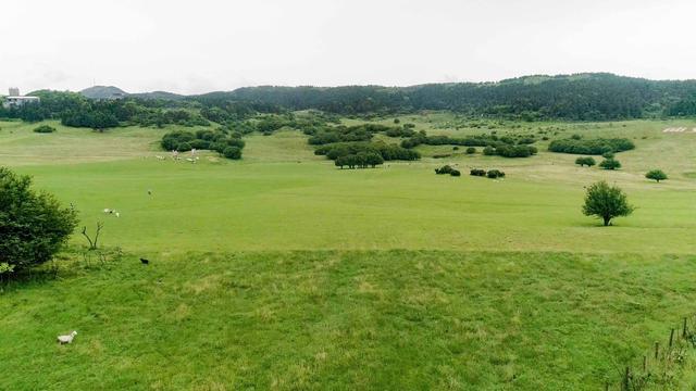 鸟瞰重庆武隆仙女山国家森林公园