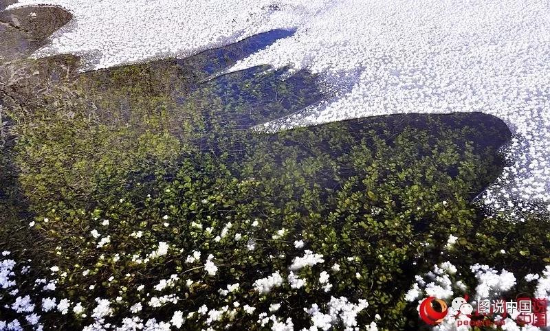 微信图片_20180102153923