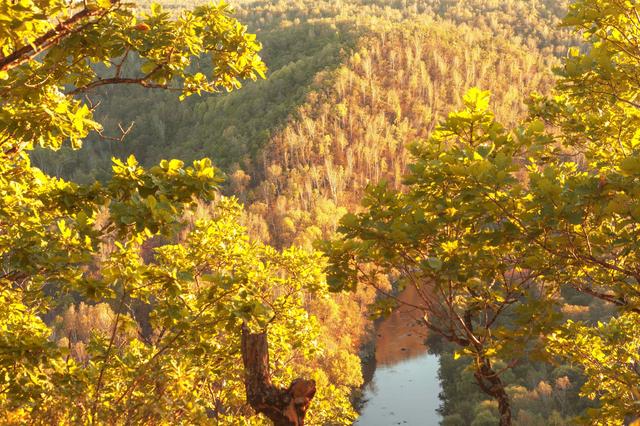 旅游景点；黑龙江锦河秋天如诗如画