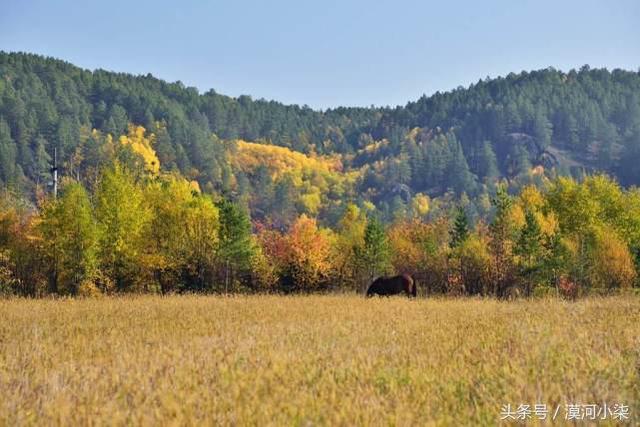 大兴安岭之秋，童话般的世界
