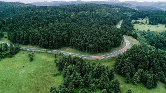 鸟瞰重庆武隆仙女山国家森林公园