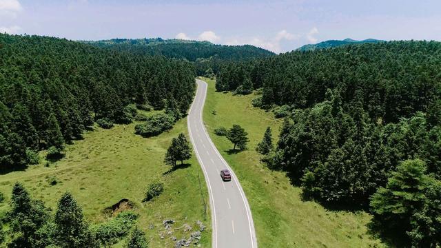 鸟瞰重庆武隆仙女山国家森林公园