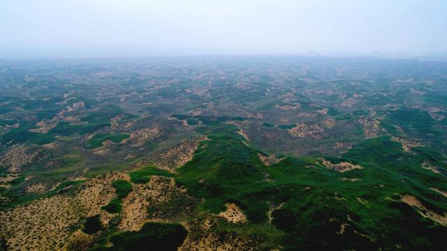 鸟瞰沙漠臭柏绿如海