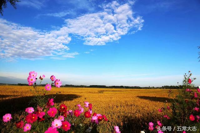 黑龙江省五常市历史传说故事