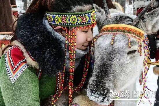 冬季到鄂温克族地区去旅行 （图）