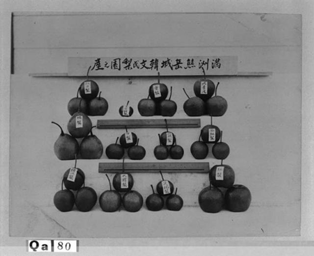 「熊岳旧影」熊岳城宝泉山和韩氏果园