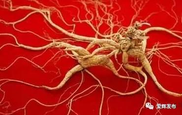 瑷珲被清廷视为“龙兴之地”？来看看历史里的这片土地……