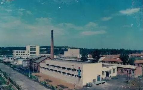 老照片——黑龙江虎林庆丰农场曾经的模样，你还记得吗