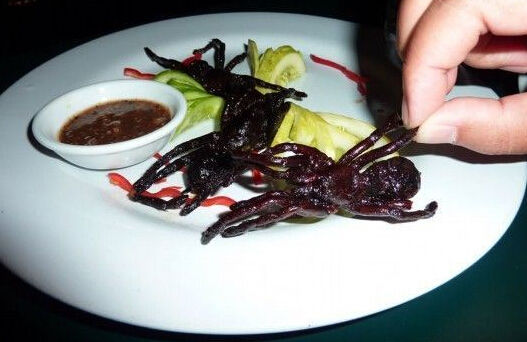 柬埔寨的油炸毒蜘蛛