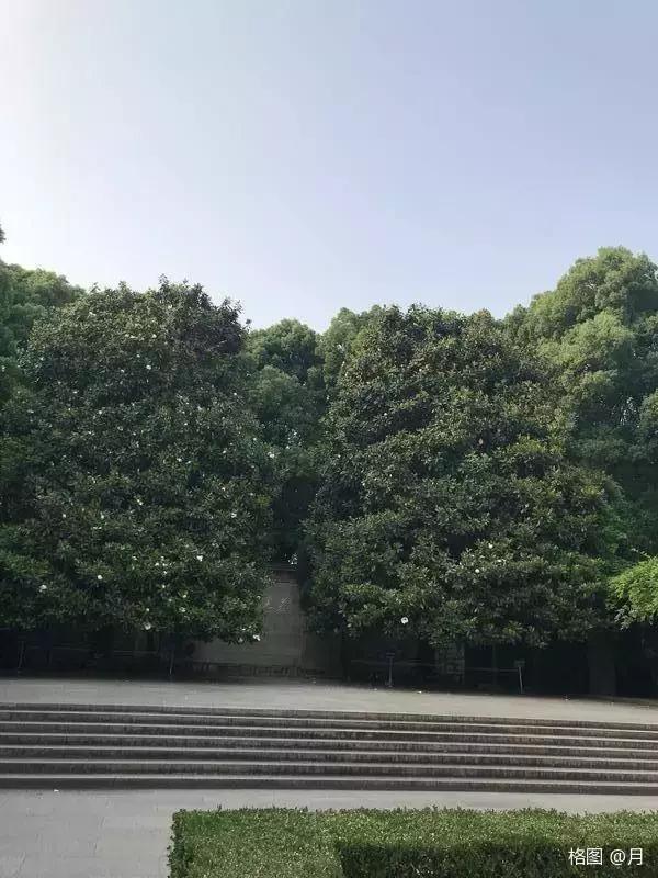 由鲁迅故居想到萧红