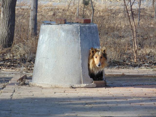 双城女真民族“乡野农俗馆”探秘