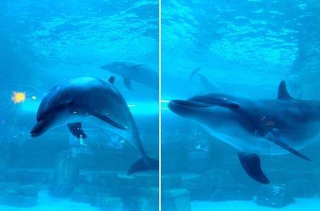 冰城希腊——波塞冬