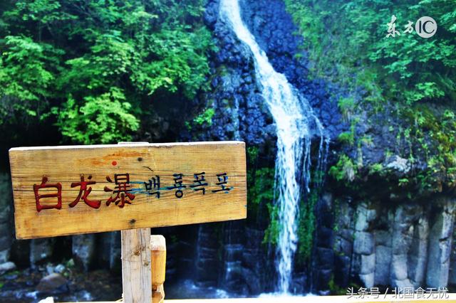 长白山和野山参的故事