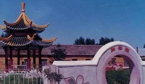 老照片——黑龙江虎林庆丰农场曾经的模样，你还记得吗