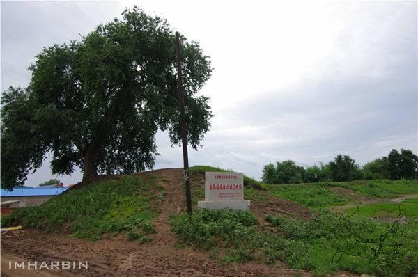 成吉思汗征服嫩江流域的谜团？