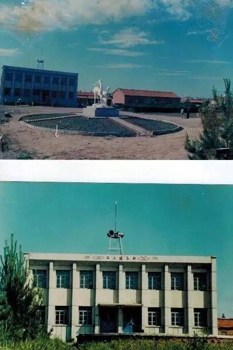 老照片——黑龙江虎林庆丰农场曾经的模样，你还记得吗