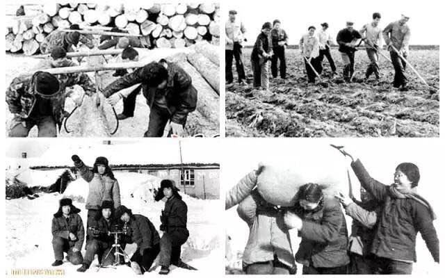 黑龙江方言的演变与特点（一）