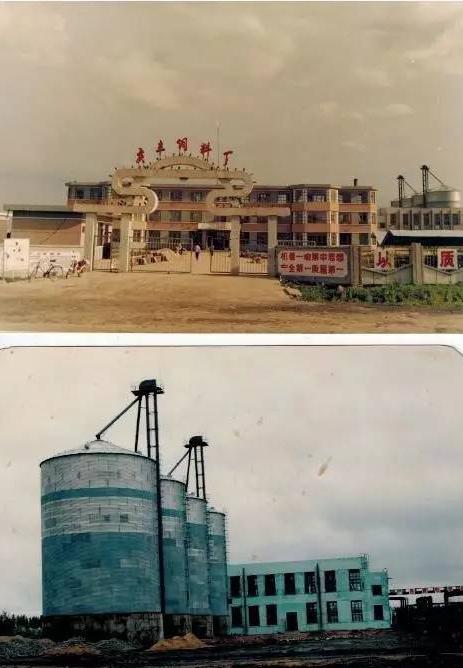 老照片——黑龙江虎林庆丰农场曾经的模样，你还记得吗